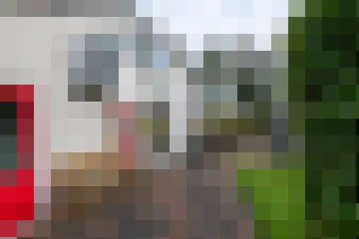 Veenderij 54 Tolbert thumbnail 44