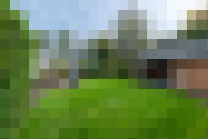 Veenderij 54 Tolbert thumbnail 45