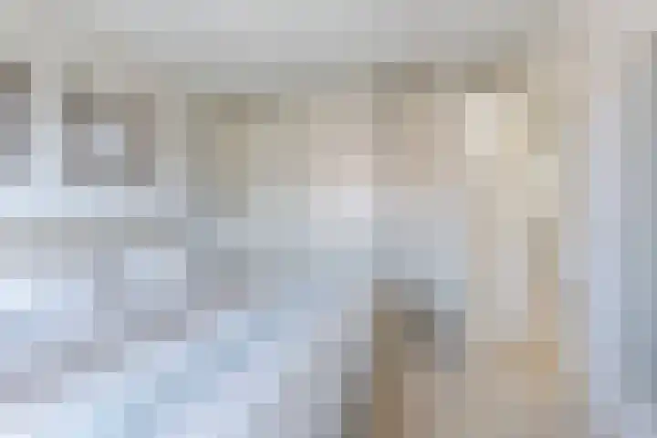 Veenderij 54 Tolbert thumbnail 5