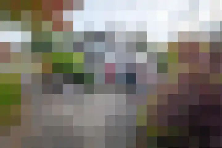 Veenderij 54 Tolbert thumbnail 6