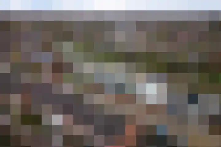 Veenderij 54 Tolbert thumbnail 9