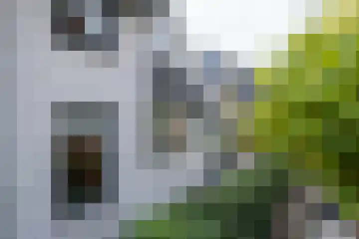 Veenderij 54 Tolbert thumbnail 9