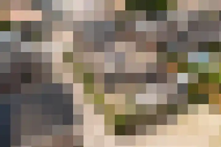Veenderweg 110 Ede thumbnail 20
