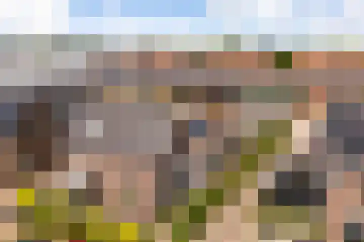 Veenderweg 110 Ede thumbnail 29