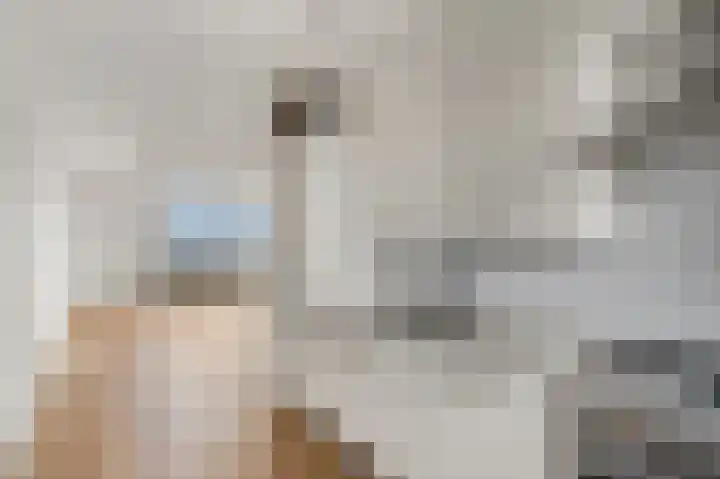 Veenderweg 35 A Ede thumbnail 15