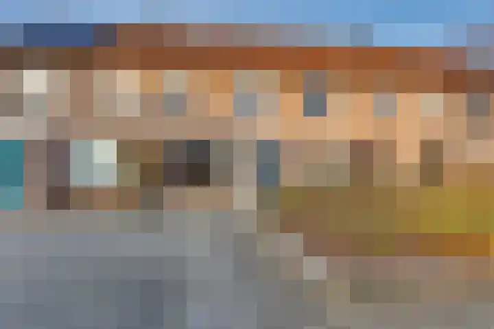 Veenmos 21 Kampen