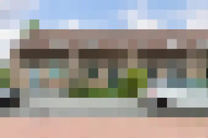 Veenmos 3 Reeuwijk