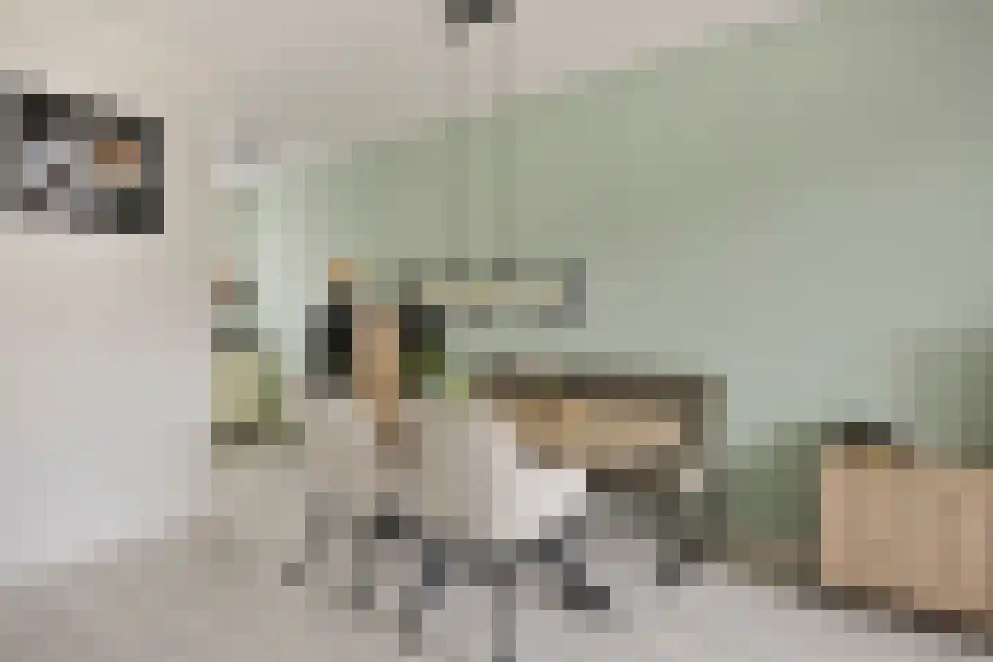 Veenmos 45 Boekel thumbnail 14