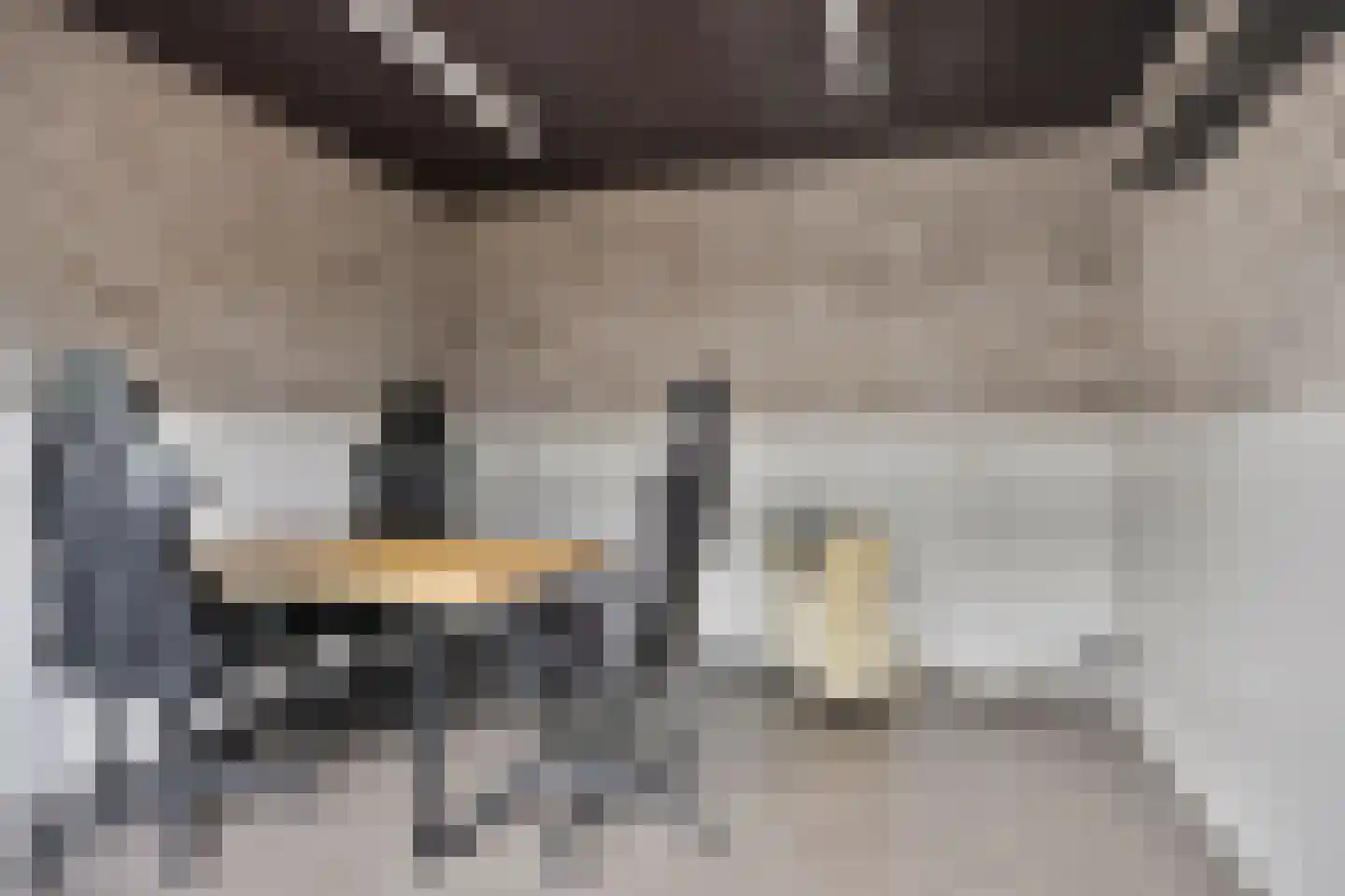 Veenmos 45 Boekel thumbnail 31