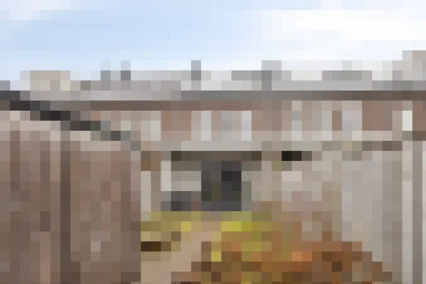 Veenmos 45 Boekel thumbnail 5