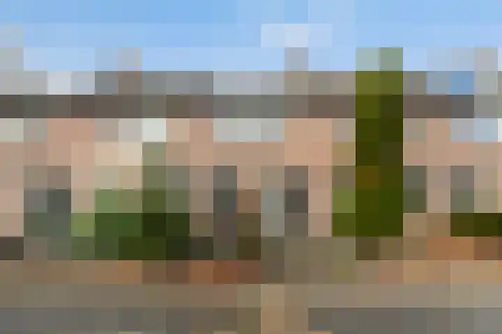 Veenmos 6 Alblasserdam