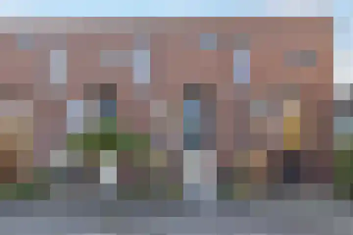 Veenmos 85 Zwolle