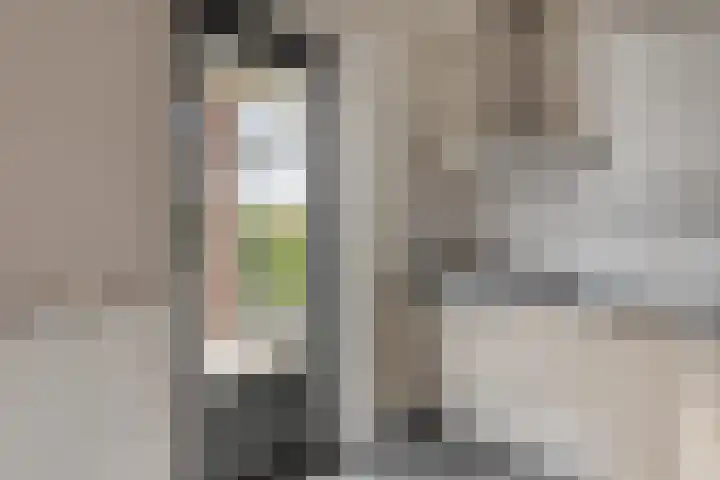 Veenmos 87 Boekel thumbnail 10