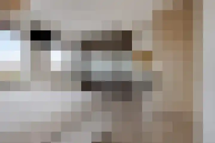 Veenmos 87 Boekel thumbnail 14