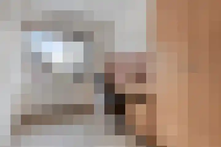 Veenmos 87 Boekel thumbnail 16