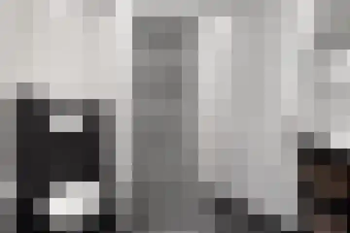 Veenmos 87 Boekel thumbnail 18