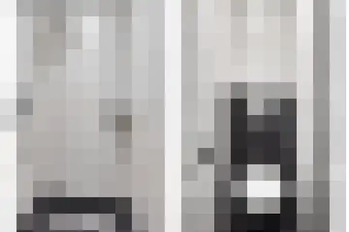 Veenmos 87 Boekel thumbnail 19