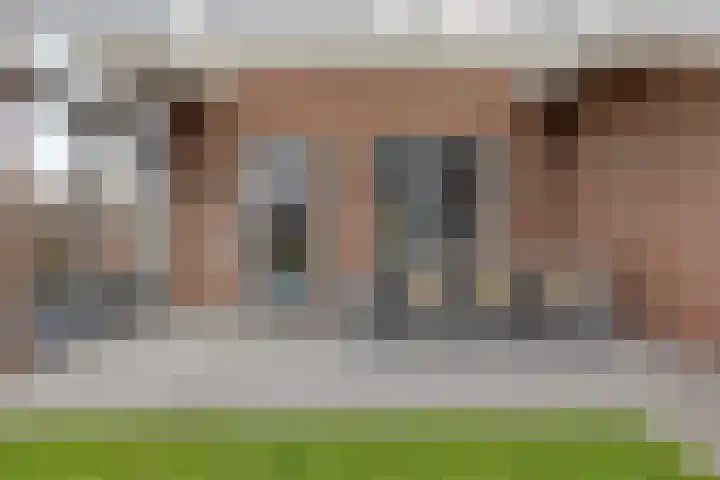 Veenmos 87 Boekel thumbnail 25