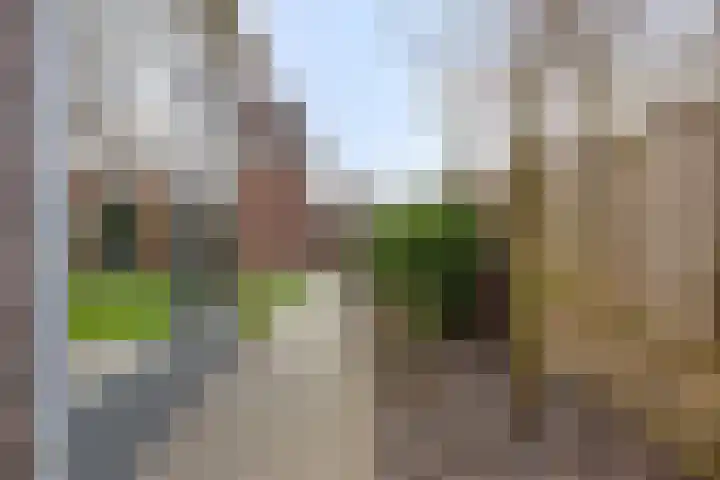 Veenmos 87 Boekel thumbnail 27