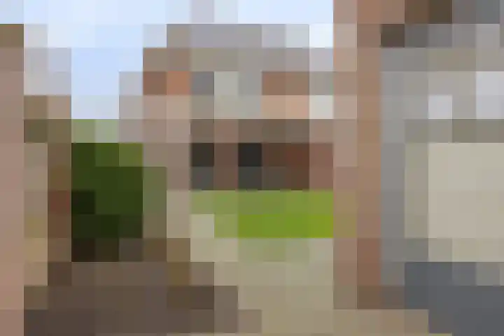 Veenmos 87 Boekel thumbnail 28