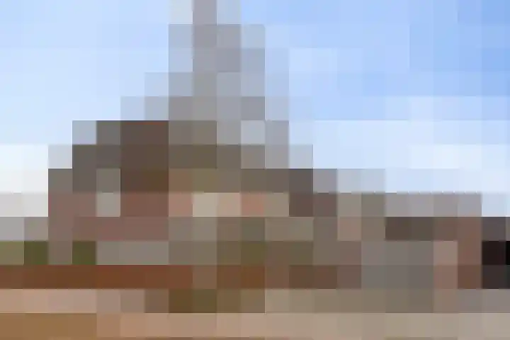 Veenmos 87 Boekel thumbnail 31