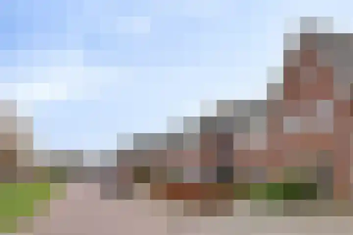 Veenmos 87 Boekel thumbnail 32