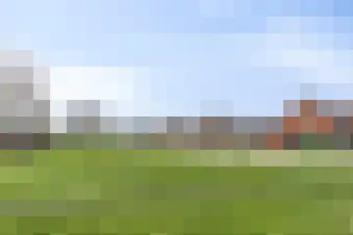 Veenmos 87 Boekel thumbnail 33