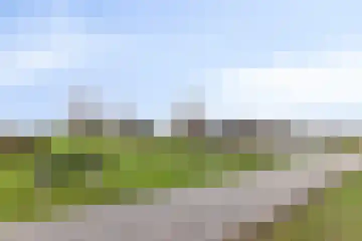 Veenmos 87 Boekel thumbnail 34