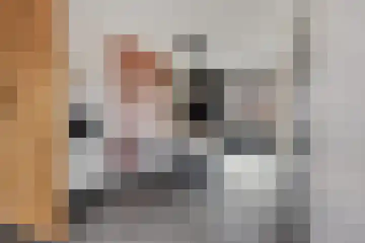 Veenmos 87 Boekel thumbnail 6