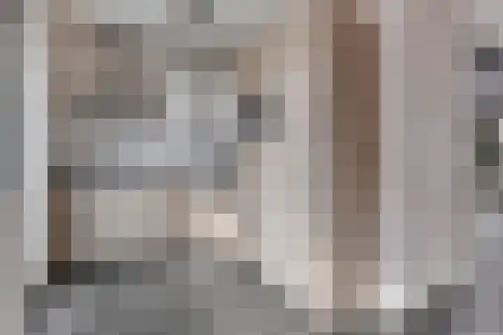 Veenmos 87 Boekel thumbnail 8