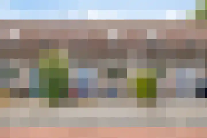 Veenmos 9 Reeuwijk
