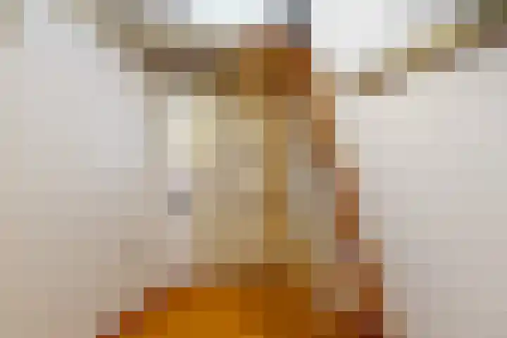 Veenpolderdijk 4 A Assendelft thumbnail 27