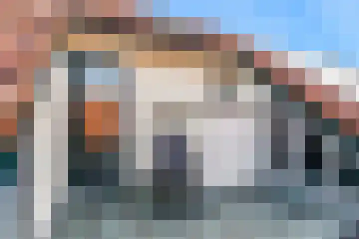 Veenpolderdijk 4 A Assendelft thumbnail 34
