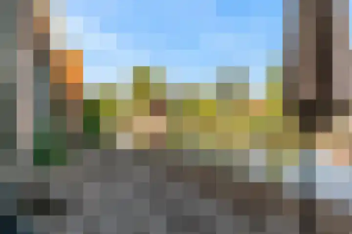 Veenpolderdijk 4 A Assendelft thumbnail 37