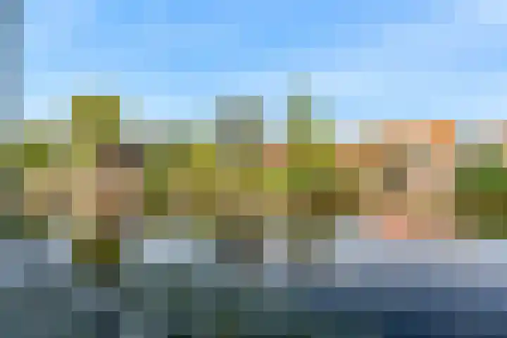 Veenpolderdijk 4 A Assendelft thumbnail 38