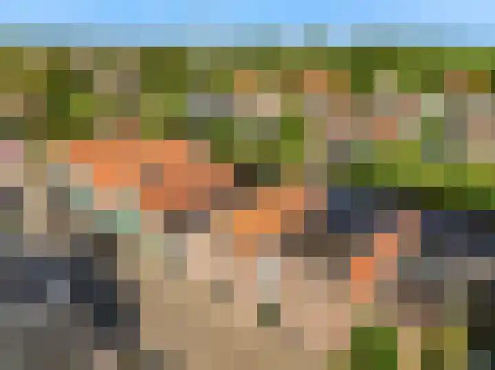 Veenpolderdijk 4 A Assendelft thumbnail 43