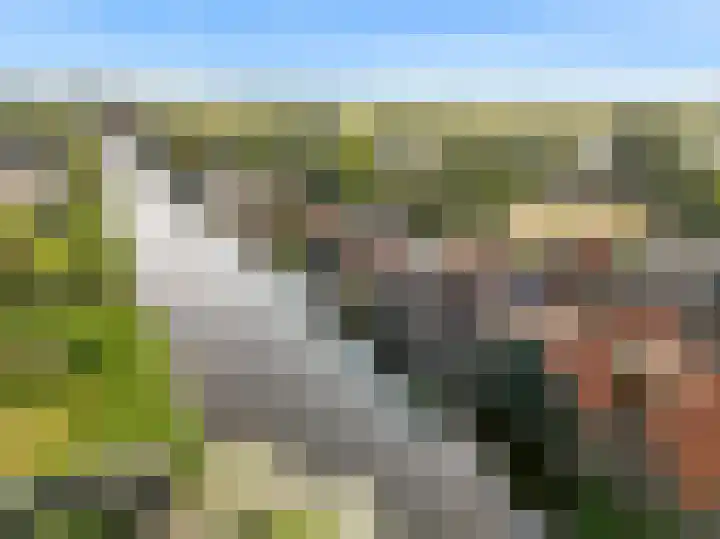 Veenpolderdijk 4 A Assendelft thumbnail 47