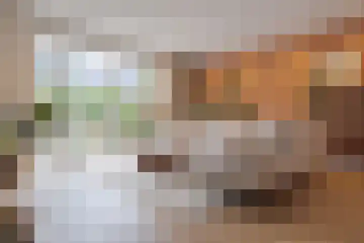 Veenschouw 26 Hattem thumbnail 12