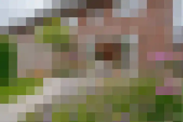 Veenschouw 26 Hattem thumbnail 28