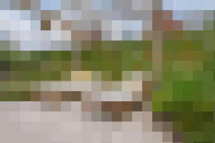 Veenschouw 26 Hattem thumbnail 33
