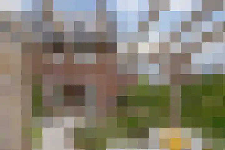 Veenschouw 26 Hattem thumbnail 35