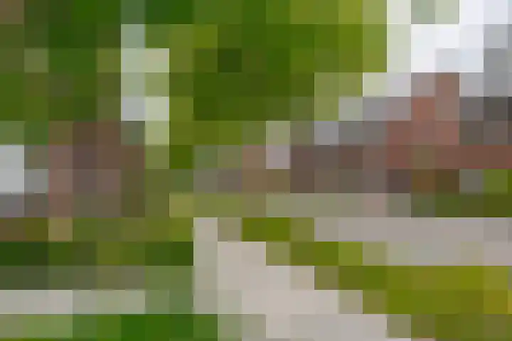 Veenschouw 26 Hattem thumbnail 5