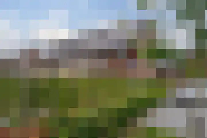 Veenschouw 26 Hattem thumbnail 54