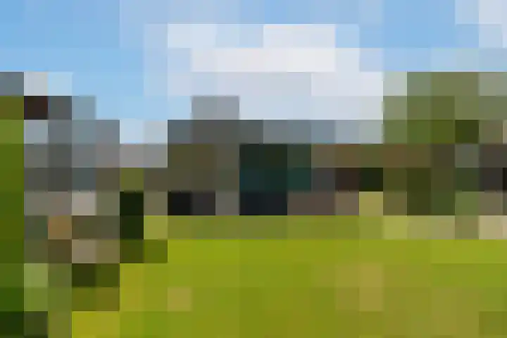 Veense Put 126 Veen thumbnail 10