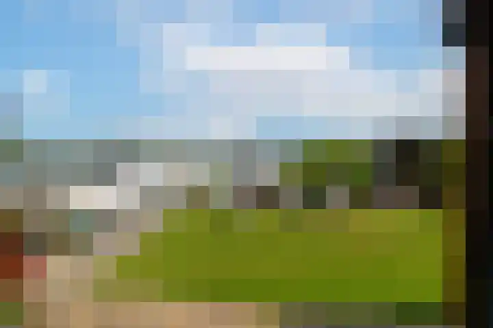 Veense Put 126 Veen thumbnail 17