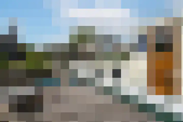Veense Put 126 Veen thumbnail 20