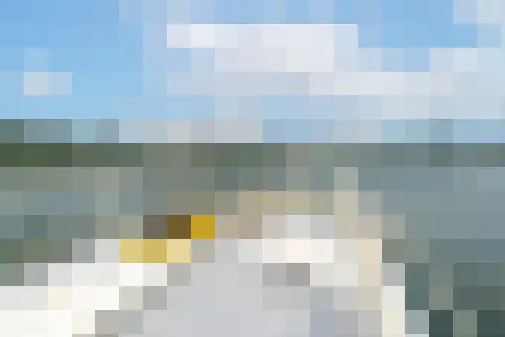 Veense Put 126 Veen thumbnail 21