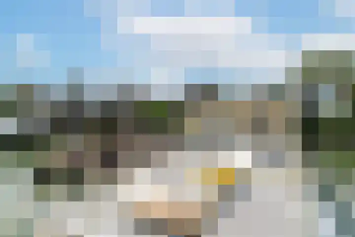 Veense Put 126 Veen thumbnail 22