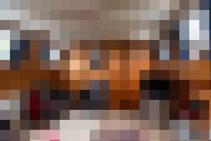 Veense Put 126 Veen thumbnail 25