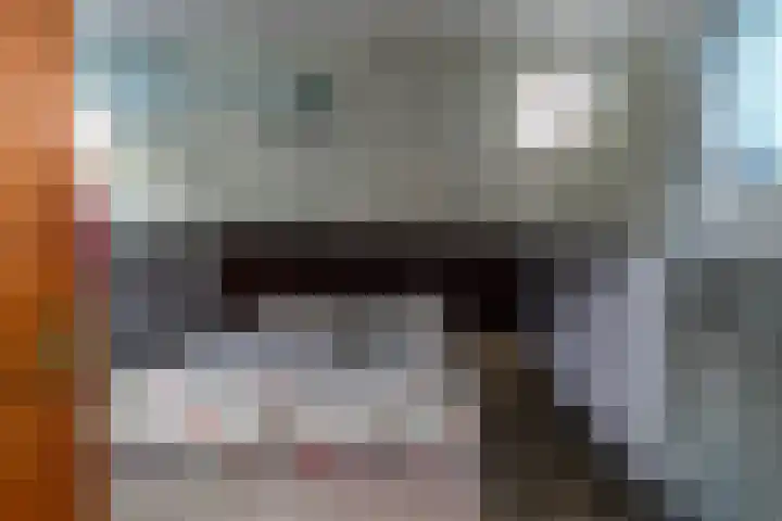 Veense Put 126 Veen thumbnail 27